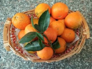 Profumo di Natale…profumo di arance!